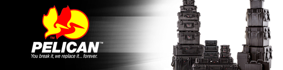 pelican_banner.jpg