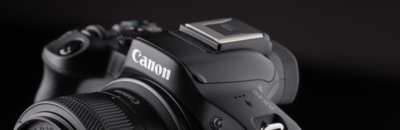 Turn up your travels with Canon R50