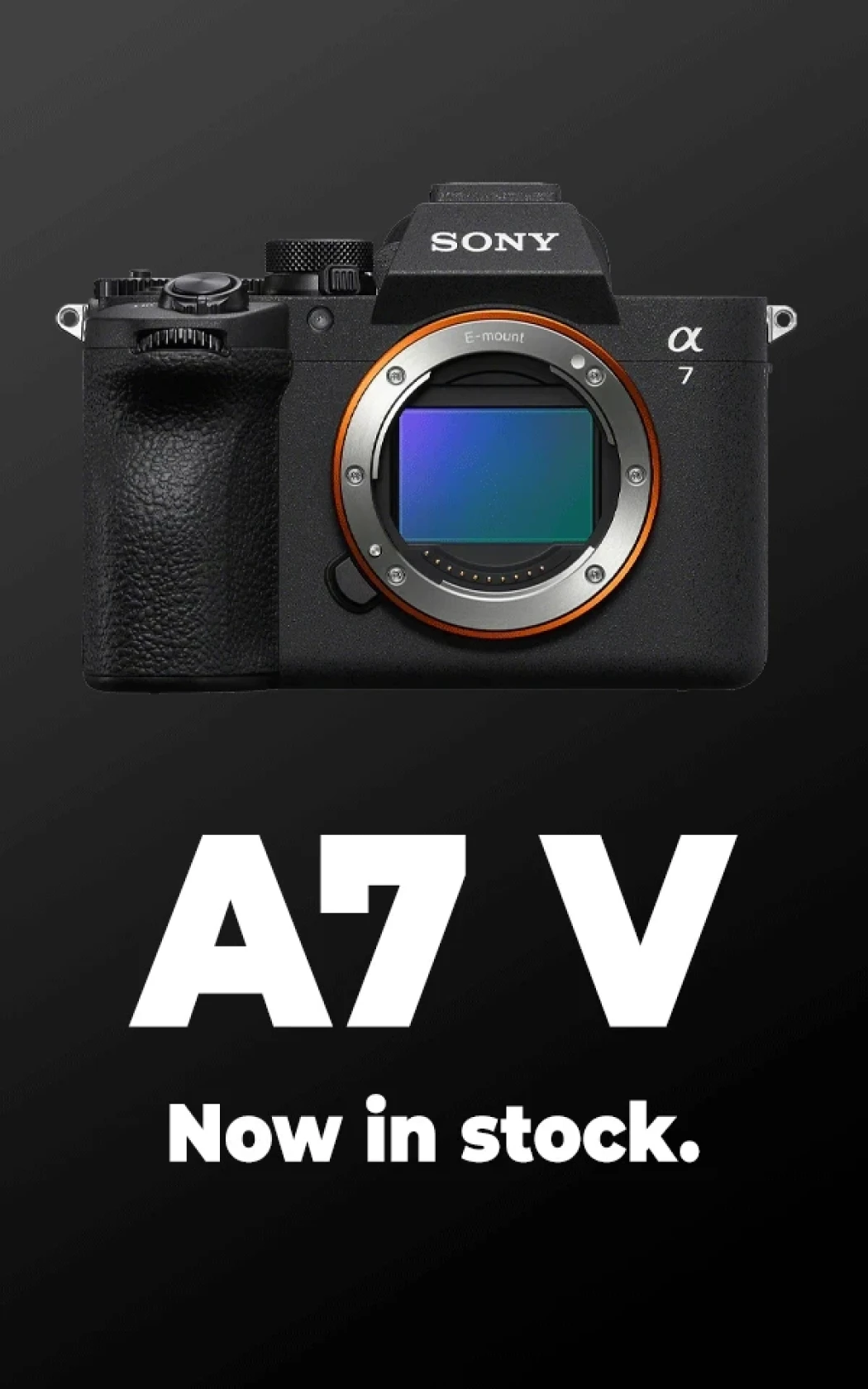 Sony A7 V BOTTOM