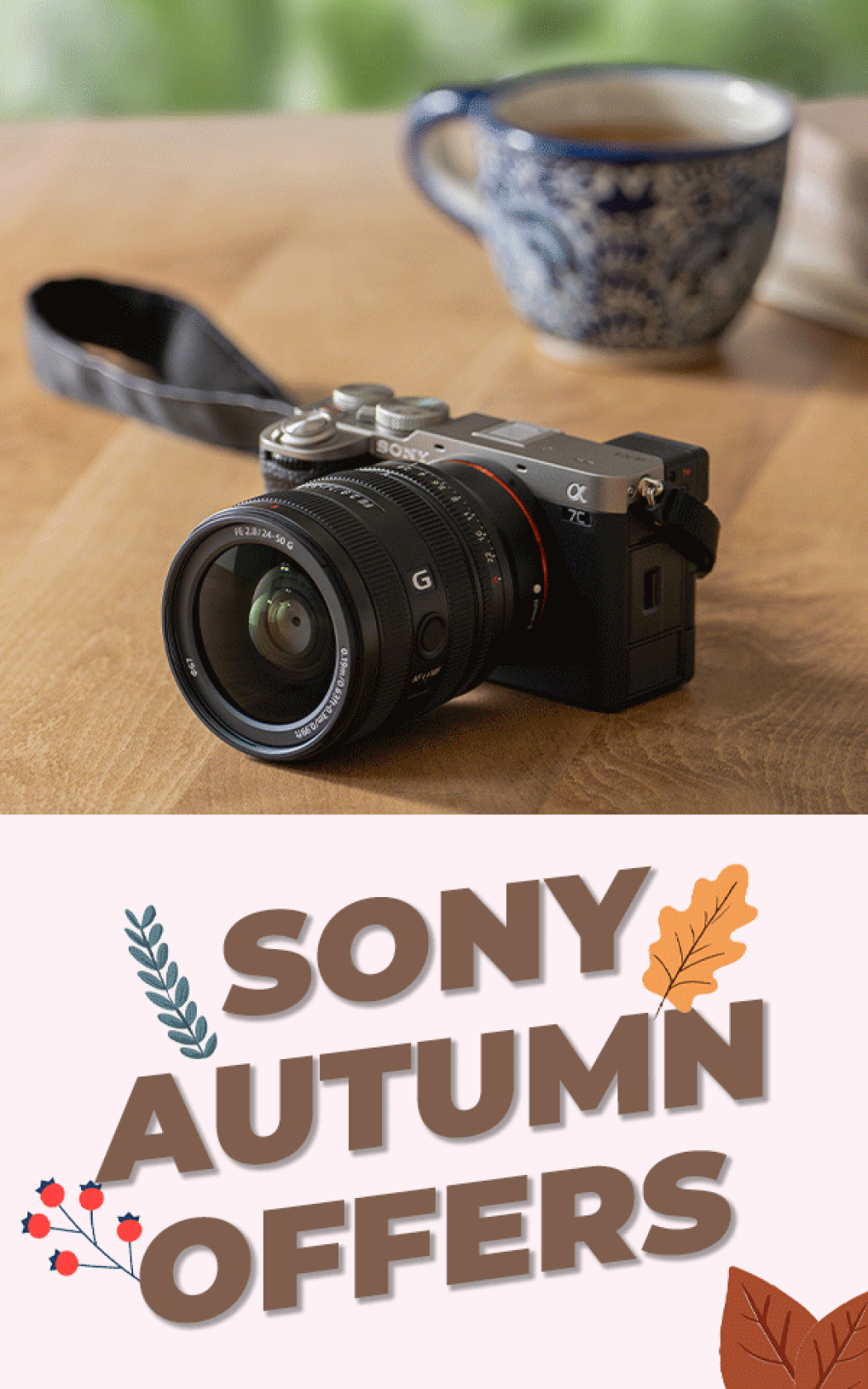 Sony autumn offers BOTTOM