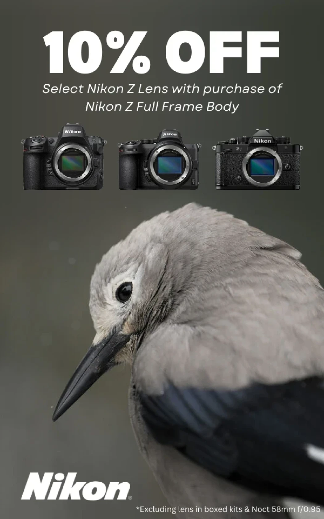nikonlenspt