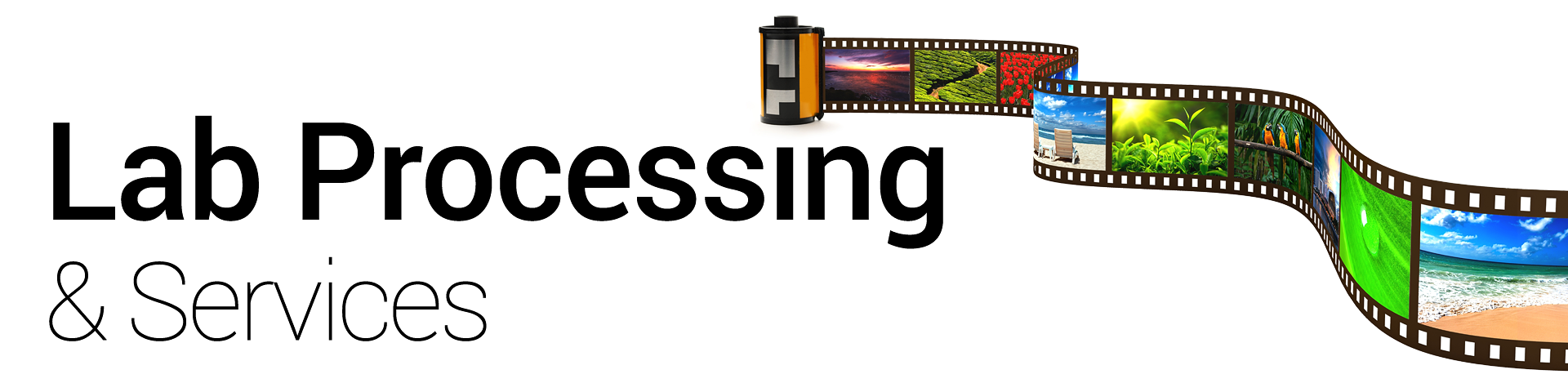 banner for PW Film Lab