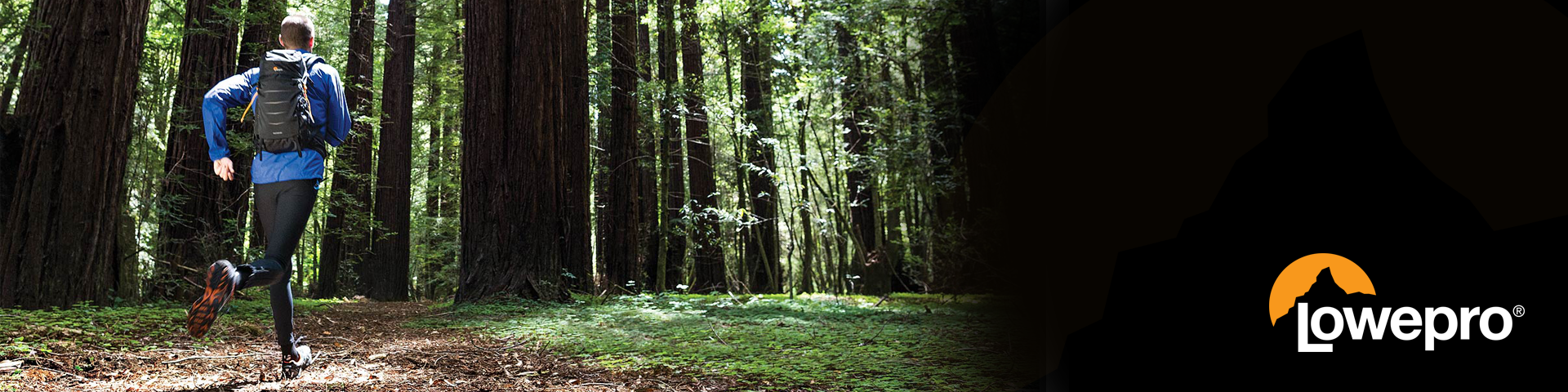 banner for Lowepro