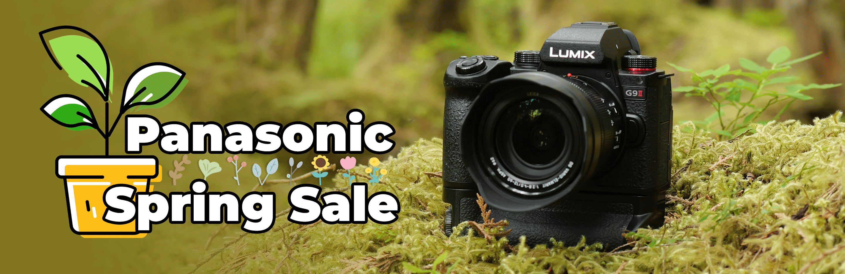 Banner for Panasonic Spring Sale
