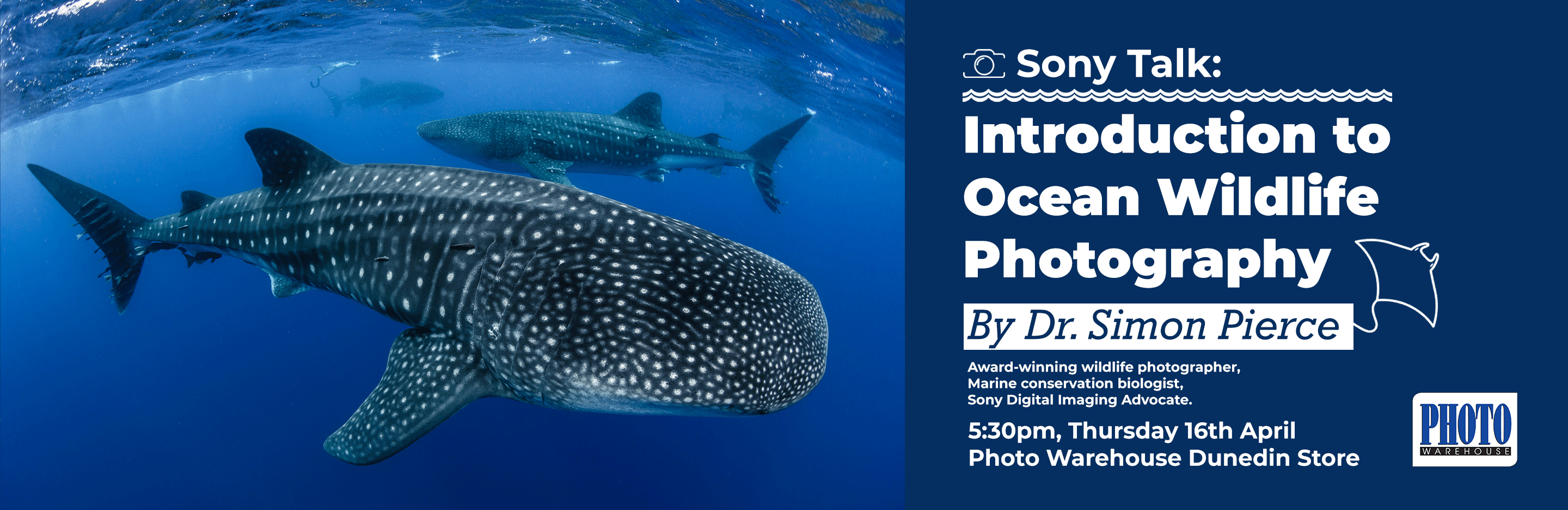 Dunedin Event - Sony Talk: Introduction to Ocean Wildlife Photography