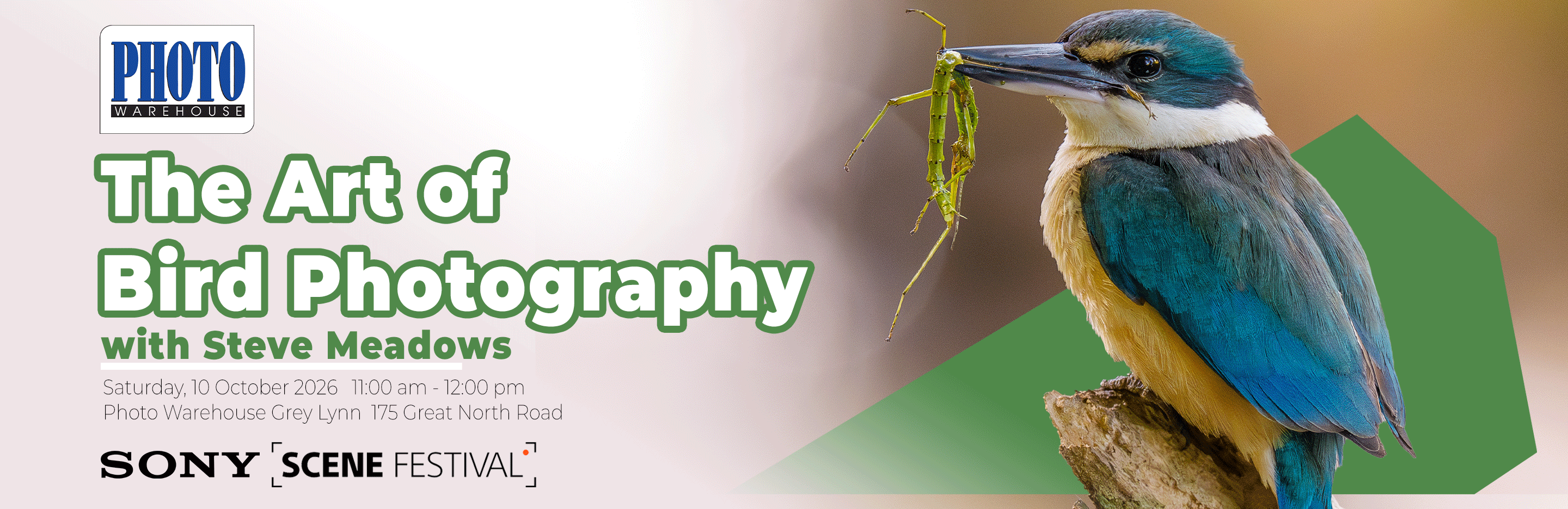 Auckland Event - The Art of Bird Photography with Steve Meadows