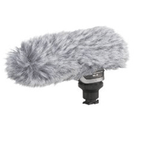 Best image for Canon DM100 Directional microphone