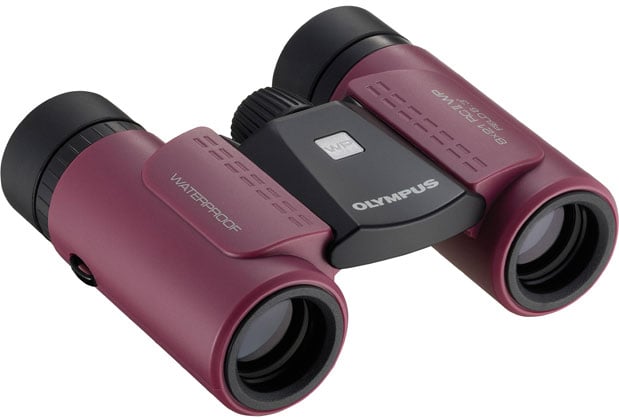 Olympus 8x21 RC II Magenta Binocular