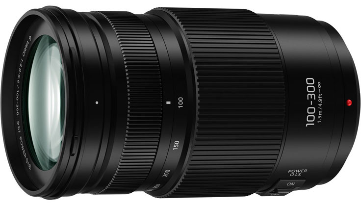 Panasonic AF 100-300/4.0-5.6 G OIS II