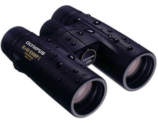 Olympus 8x42 EXWP I Binocular - Best Available Image