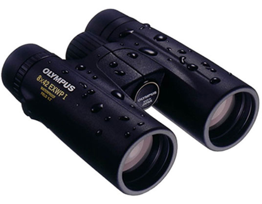 Olympus 8x42 EXWP I Binocular