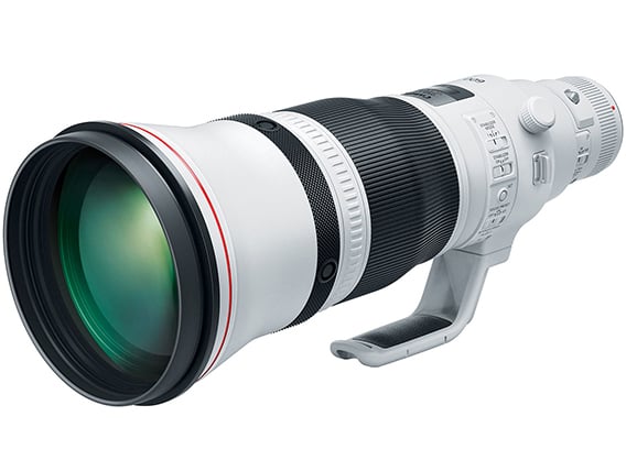 Best image for Canon EF 600mm f/4L IS III USM Lens