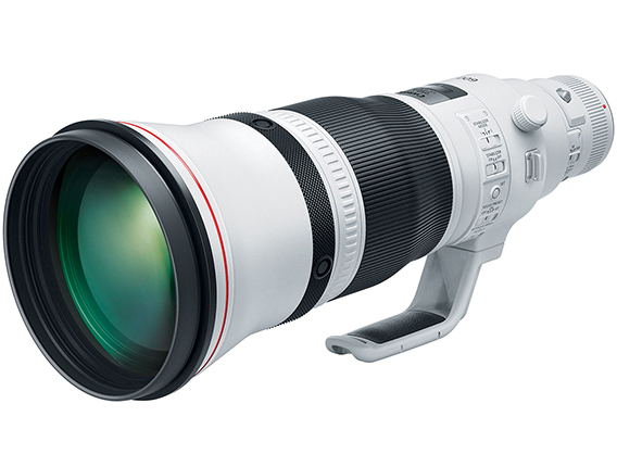 Best image for Canon EF 600mm f/4L IS III USM Lens
