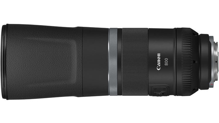 Canon RF 800mm f/11 IS STM Lens