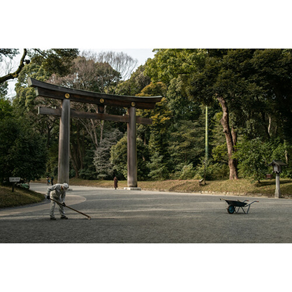 1019290_B.jpg - Sigma FUJIFILM X 56mm f/1.4 DC DN Contemporary Lens - Image 2