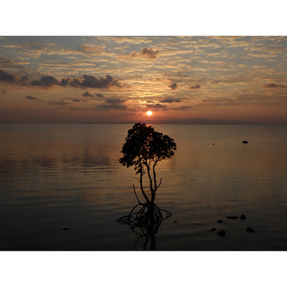 1019840_D.jpg - Ricoh WG-6 Digital Camera (Black) - Image 4