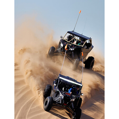 1020110_D.jpg - Canon RF 1200mm f/8L IS USM Lens - Image 4