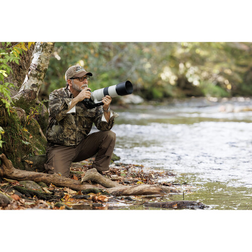 1021940_D.jpg - Canon RF 200-800mm f/6.3-9 IS USM Lens - Image 4