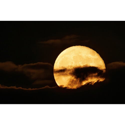 1021940_E.jpg - Canon RF 200-800mm f/6.3-9 IS USM Lens - Thumbnail 5