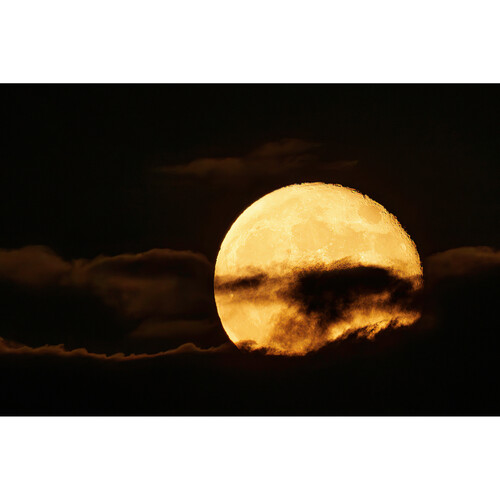 1021940_E.jpg - Canon RF 200-800mm f/6.3-9 IS USM Lens - Image 5