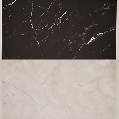 Krane 57x87cm 2 sides Backdrop WY-L04