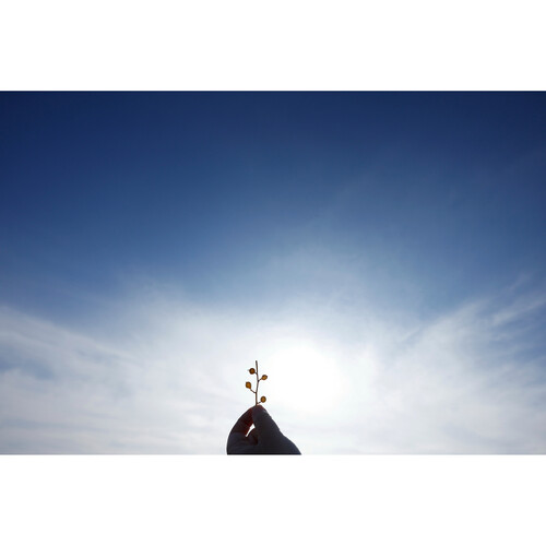 1023630_B.jpg - Sigma 10-18mm f/2.8 DC DN Contemporary Lens (Canon-RF) - Thumbnail 2