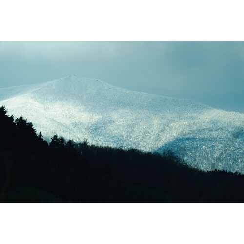 1024510_E.jpg - Sigma 16-300mm f/3.5-6.7 DC OS Contemporary Lens (Canon RF) - Image 5