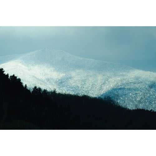 1024510_E.jpg - Sigma 16-300mm f/3.5-6.7 DC OS Contemporary Lens (Canon RF) - Image 5