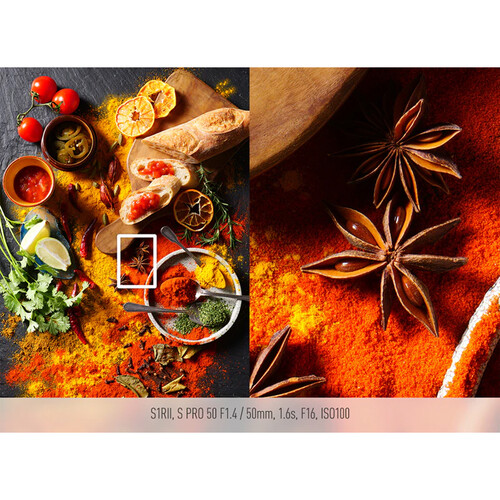 1024730_D.jpg - Panasonic S1R II with 24-60mm f2.8 Kit - Image 4