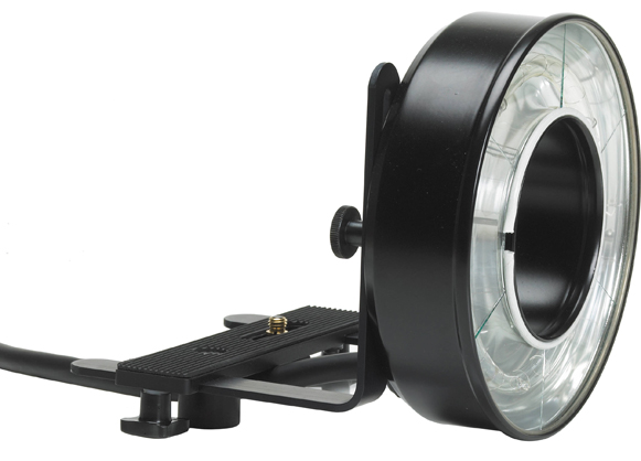 Profoto Acute/D4 Ring Flash - Best Available Image