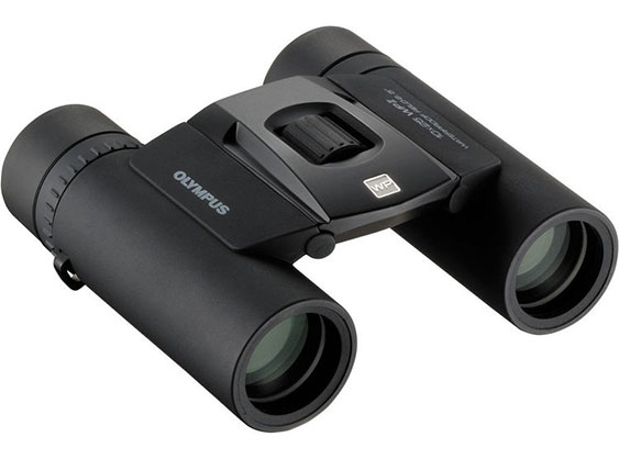 Olympus 10x25 WPII Binocular (Black)