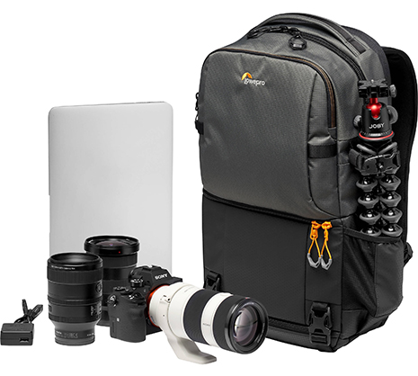1018321_B.jpg - LOWEPRO FASTPACK BP 250 AW III GREY - Image 2