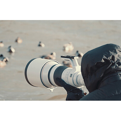 1020131_C.jpg - Canon RF 800mm F5.6 L IS USM Lens - Image 3