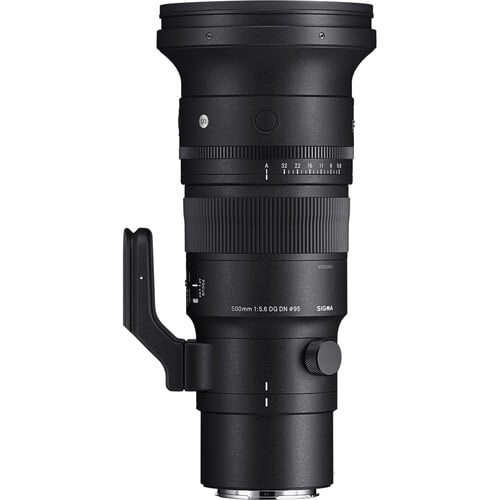 Best image for Sigma 500mm f/5.6 DG DN OS Sports Lens (Sony E)