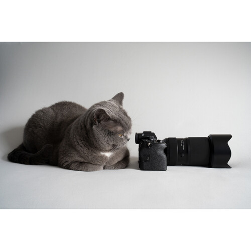 1023391_E.jpg - Tamron 50-300mm f/4.5-6.3 Di III VC VXD Lens Sony E - Thumbnail 5