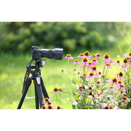 1023801_E.jpg - Tamron 90mm f/2.8 Di III VXD Macro Lens Sony E - Image 5