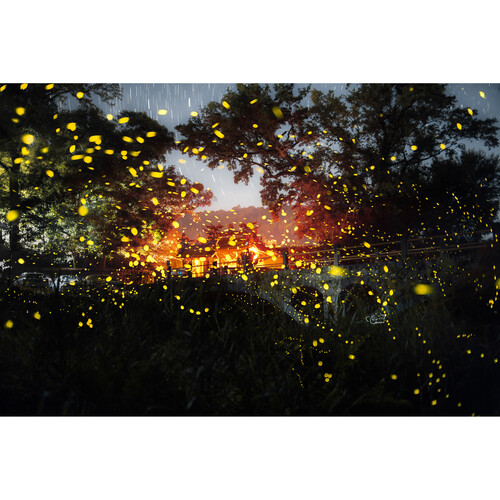 1023881_D.jpg - Laowa Argus 28mm f/1.2 FF Lens (Sony FE) - Thumbnail 3