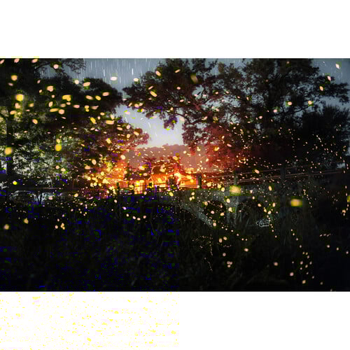 1023881_D.jpg - Laowa Argus 28mm f/1.2 FF Lens (Sony FE) - Image 3