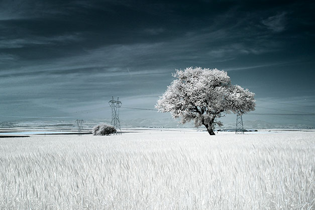 1024331_F.jpg - Kase Revolution Magnetic Infrared IR720 Filter 72mm - Image 6
