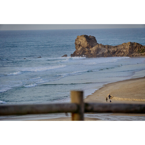 1024511_D.jpg - Sigma 16-300mm f/3.5-6.7 DC OS Contemporary Lens (Sony E) - Image 4