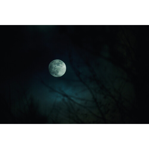 1024511_E.jpg - Sigma 16-300mm f/3.5-6.7 DC OS Contemporary Lens (Sony E) - Thumbnail 5