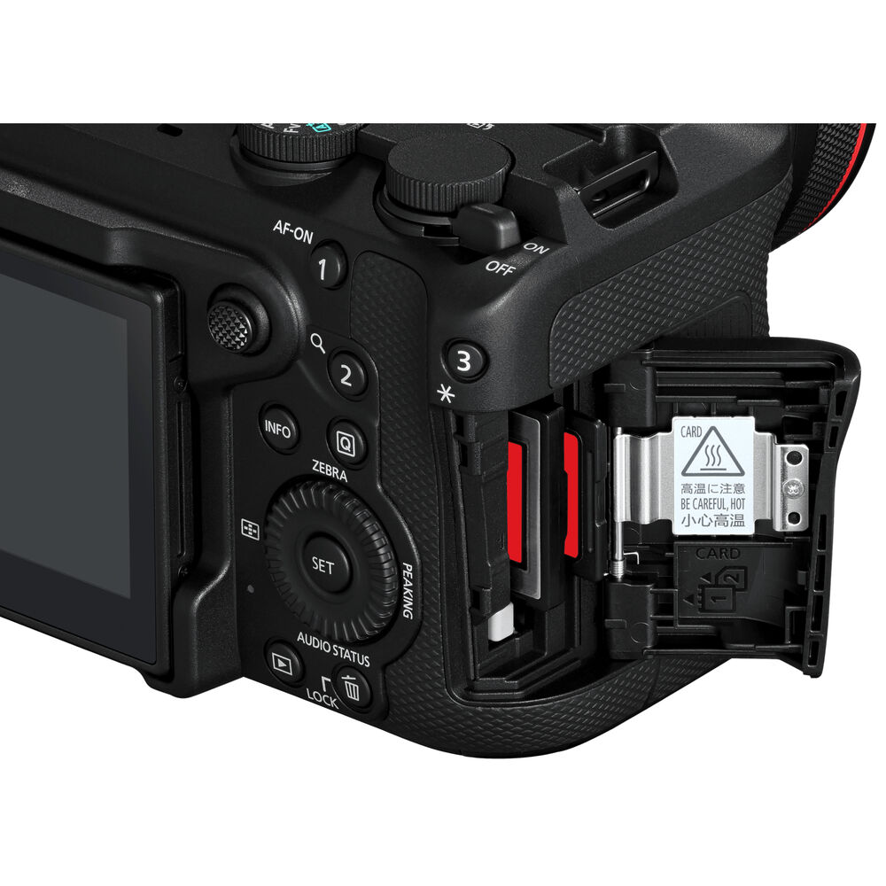 1026391_B.jpg - Canon EOS R6 V Mirrorless Camera + Bonus RODE Wireless GO III Microphone - Image 2