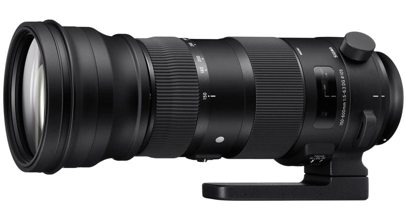 Best image for Sigma 150-600mm F5-6.3 SPORT Canon