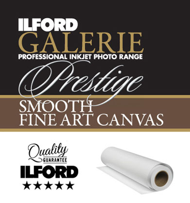 Ilford Galerie FineArt Canvas 17x13 Inch - Best Available Image