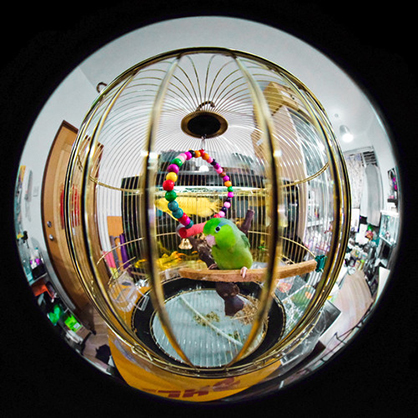 1018652_D.jpg - Laowa 4mm f/2.8 Fisheye Lens for Fuji X - Thumbnail 4