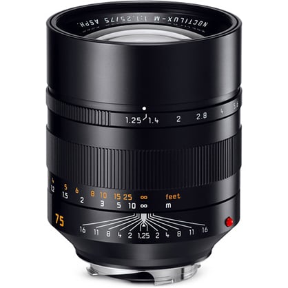 Best image for Leica Noctilux-M 75 mm f/1.25 ASPH Lens