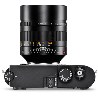 1019372_B.jpg - Leica Noctilux-M 75 mm f/1.25 ASPH Lens