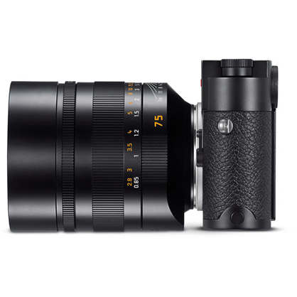 1019372_D.jpg - Leica Noctilux-M 75 mm f/1.25 ASPH Lens