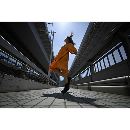 1019952_B.jpg - Nikon NIKKOR Z 17-28mm f/2.8 Lens - Image 2