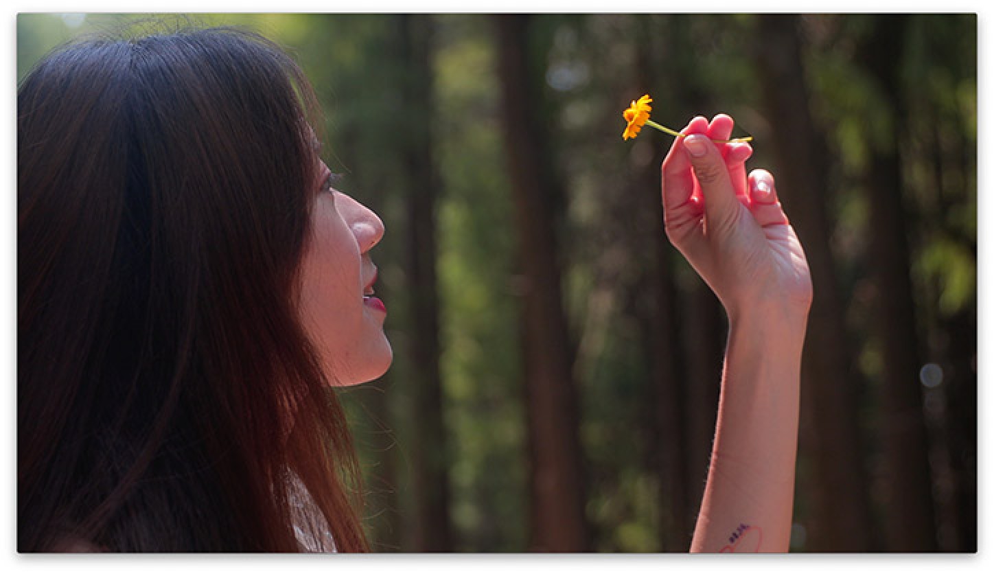 Official NZ Distributor for Kase White Mist Filter 1/4 82mm